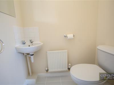 Picture 13